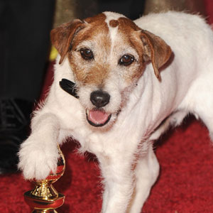 Uggie, Dog Uggie, Dog